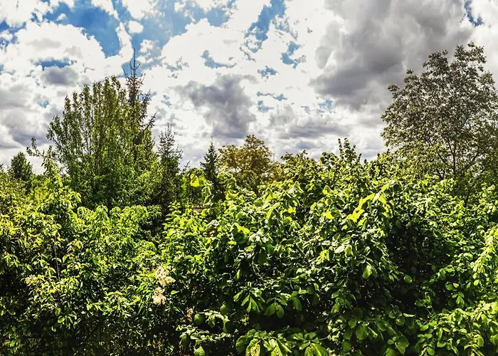 Parking & Balkon Lägenhet